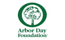 U.S.-Based Tree Planting Nonprofit Broadens Global Reach