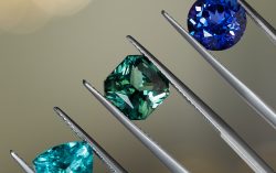 B.P. de Silva Announces Gem Extraordinaire