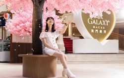 Galaxy Macau’s Sakura Cultural Festival Kicked off in Splendor