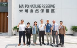 Arup and WWF to establish Nature-based Solutions standards for Hong Kong’s rural development