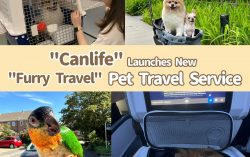 Hong Kong’s First Internationally ISO-Certified Pet Relocation Company “Canlife” Launches New “Furry Travel” Pet Travel Service