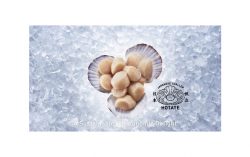 J-HOTATE Association Exhibits at Seafood Expo Global in Spain to appeal premium and fresh Japanese scallops