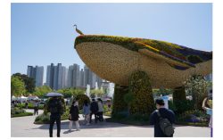 Opening of the 2024 International Horticulture Goyang Korea “A Colorful Festival Featuring Flowers from Around the World”