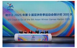 Visual Identity Unveiled As 9th Asian Winter Games Starts 300-day Countdown