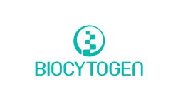 Biocytogen Enters Into Evaluation and Potential Licensing Agreement With BioCopy For TCR-mimic Antibodies