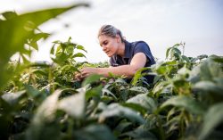 Syngenta extends leadership in fungicides with ADEPIDYN® technology