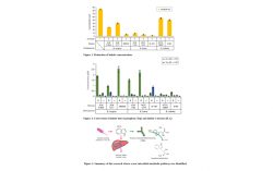 Morinaga Milk’s New Research Breakthrough Backed the Superiority of its Human-Residential Bifidobacteria (HRB) Strains in Metabolizing Toxin Precursor in the Gut