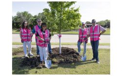 Pink Lipsticks and Green Thumbs: Mary Kay Inc. Celebrates 60 Years of Sustainable Beauty With Special Tree Planting Event in Lewisville