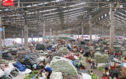 Simummuang Market: Asia’s Fresh Food Wholesale Destination