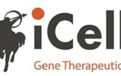 iCell Gene Therapeutics Announces Positive Clinical Data from Investigator Initiated Phase 1 Trial Evaluating BCMA-CD19 Compound CAR in Patients with Systemic Lupus Erythematosus/Lupus Nephritis Published in Annals of the Rheumatic Diseases