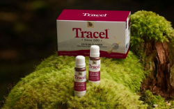 Tracel Officially Launches on T-Mall Flagship Store