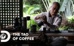 Vietnamese coffee on the rise