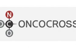 Oncocross Expands Collaboration with JW Pharmaceutical on Developing Innovative New Drugs Using AI in Anticancer and Regenerative Medicine