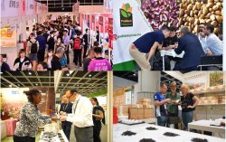 Food Expo PRO returns in August with Hong Kong International Tea Fair