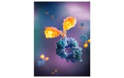 OmniAb Announces Publication of Scientific Paper on Heavy Chain-Only Single-Domain Antibody Chicken Platform in the Journal of Immunology