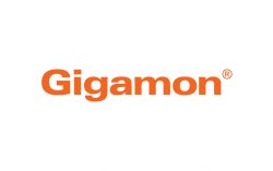 Gigamon 2024 Hybrid Cloud Security Survey Reveals Global Security Leaders Are Losing Ground in the Race Against Cybercrime as Undetected Breaches Rise by 20 Percent