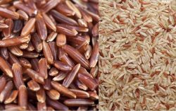 Understanding the Distinctions: Brown Rice vs. Red Rice