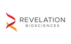 Revelation Biosciences Has Completed Dosing of its First in Human Phase 1 Clinical Study of Gemini