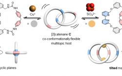 HKU Chemists Develop a Chameleon-like Molecular Chain with Dual Ion Binding Capability