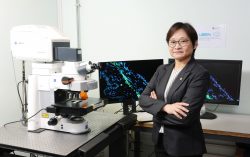 PolyU scholar discovers key mechanism of intraocular pressure regulation suggesting novel treatment approaches for glaucoma