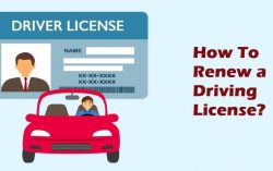 How to Renew Your Indian Driving License