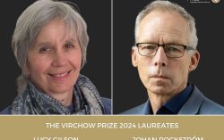 Lucy Gilson and Johan Rockström awarded the Virchow Prize 2024