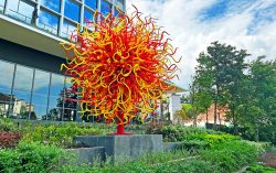 Singapore Sun by Dale Chihuly Shines at One Holland Village