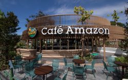 Decode OR achievement for building up over 22-years journey of Café Amazon in fame: Coffee bean from the top of hill to the world’s favorite coffee cup, enhancing the entire value chain along the way.