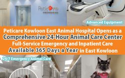 Peticare Kowloon East Animal Hospital Opens as a Comprehensive 24-Hour Animal Care Center