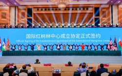 The Establishment Agreement of the International Mangrove Center was signed in Shenzhen, China