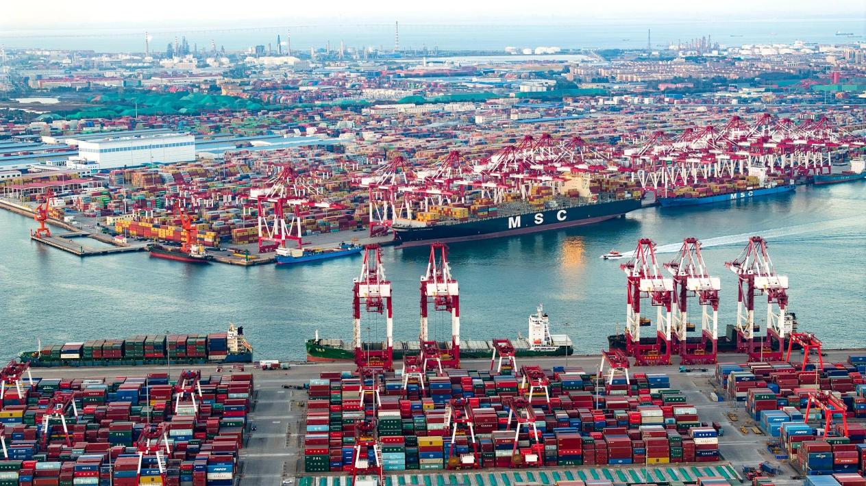 A view of Qingdao Port in east China's Shandong Province, November 5, 2024. /CFP