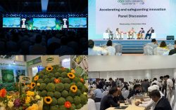 Asian Seed Congress:  Asia-Pacific Region Leads Global Seed Trade, Innovation