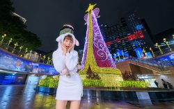 Christmasland in New Taipei City: Four Must-Visit Zones Full of Magical Charm