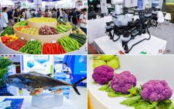 Over 2,000 Enterprises Worldwide Join China (Hainan) International Trade Fair for Tropical Agricultural Products